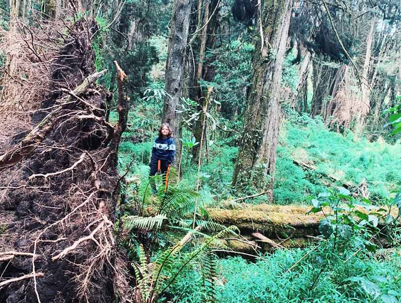 Caminata Ecológica | Múcura Experience