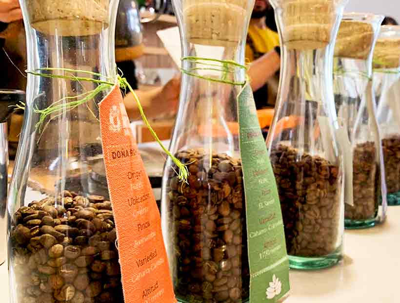 Coffee Lovers | Múcura Experience
