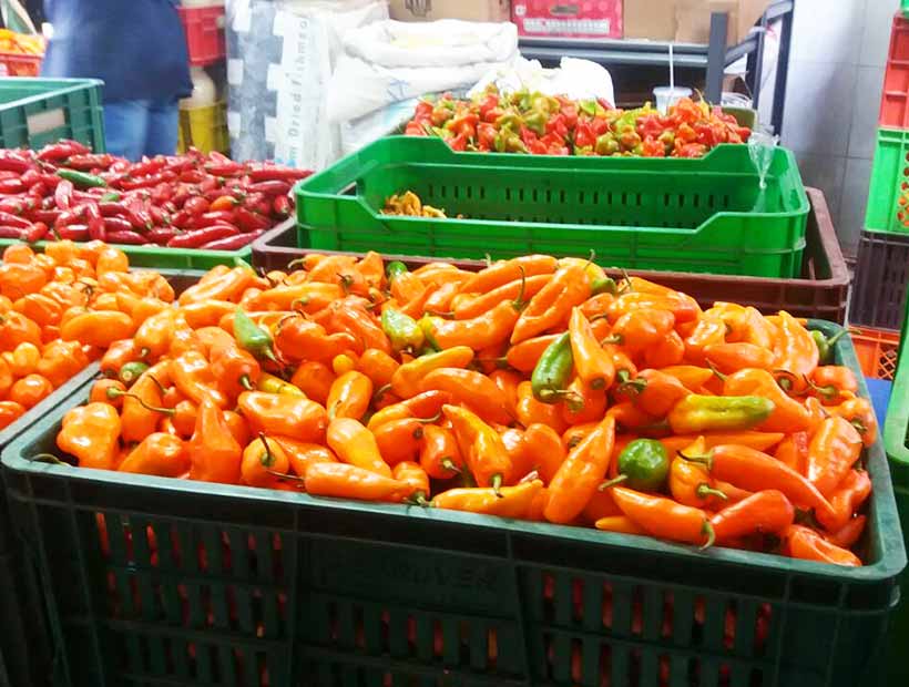 Plaza de Mercado | Múcura Experience