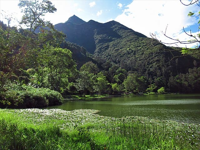 Naturaleza | Caminatas y Aventuras | Múcura Experience